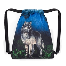 Školní batoh pro kluky Bagmaster Lumi 24 F - vlk - malý set