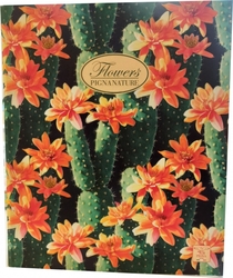 Pákový pořadač Pigna Nature Flowers, A4, hřbet 80 mm, mix motivů, Motiv Květoucí kaktusy